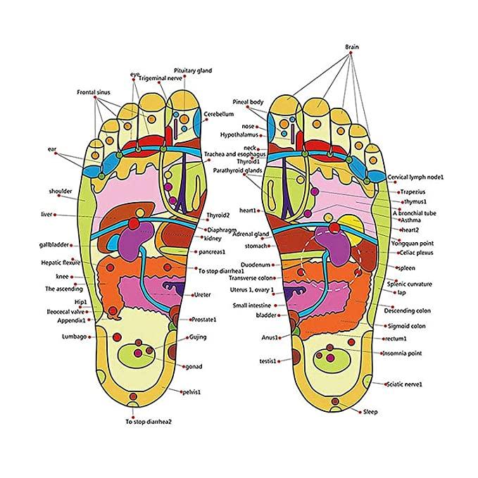 Magnetic Acupressure Yoga Therapy Paduka Slippers